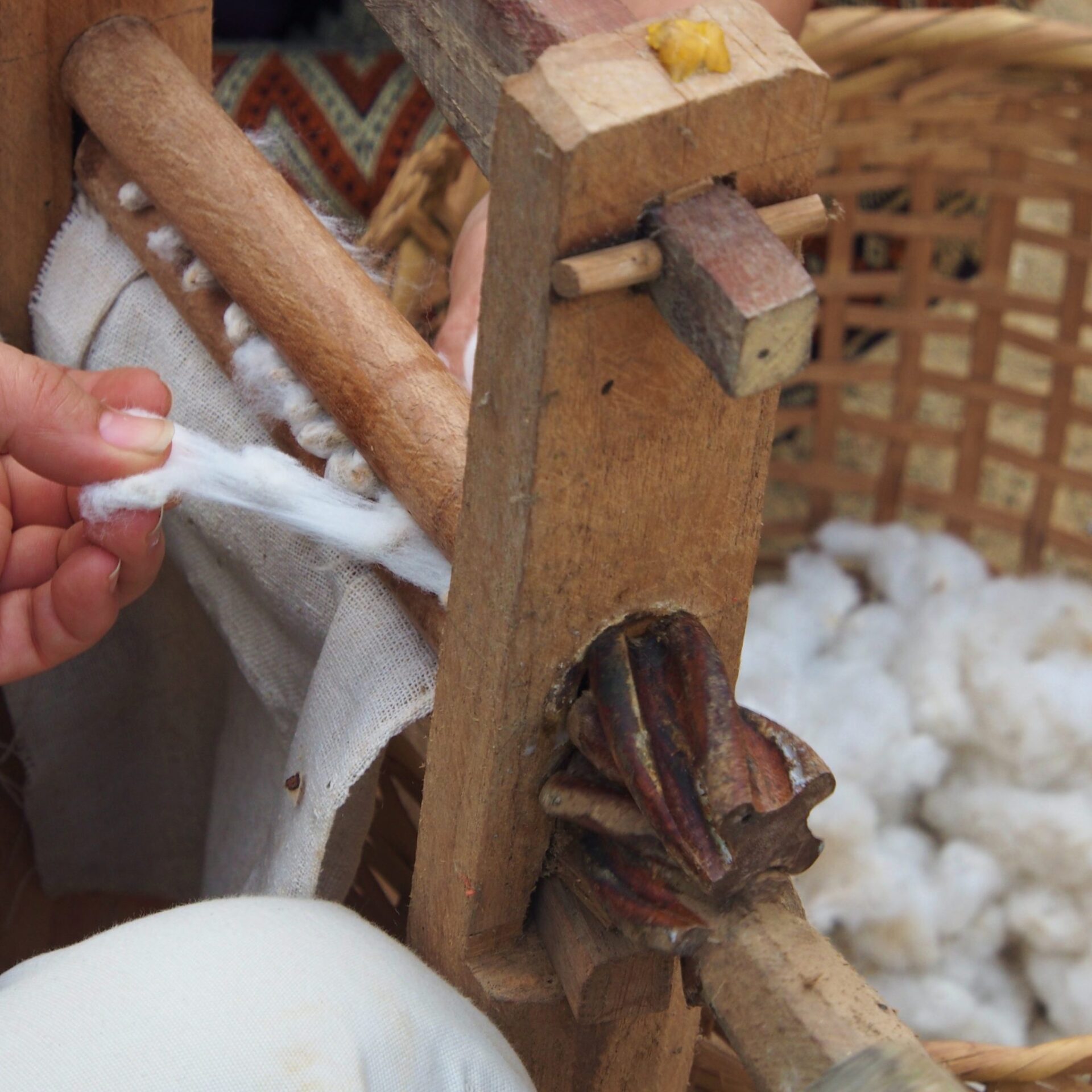 Rural artisans seeding cotton for textiles in Laos