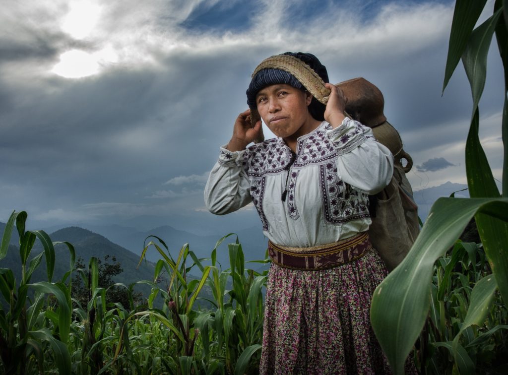 The Mixe of Mexico – Traditional Arts and Ethnology Centre